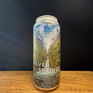 Silver Springs